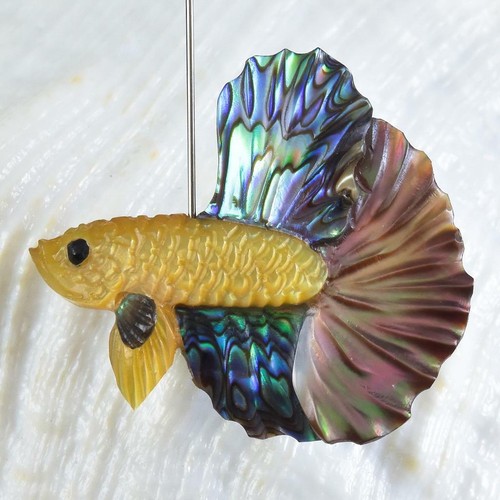Siamois combattant poisson - siamois,