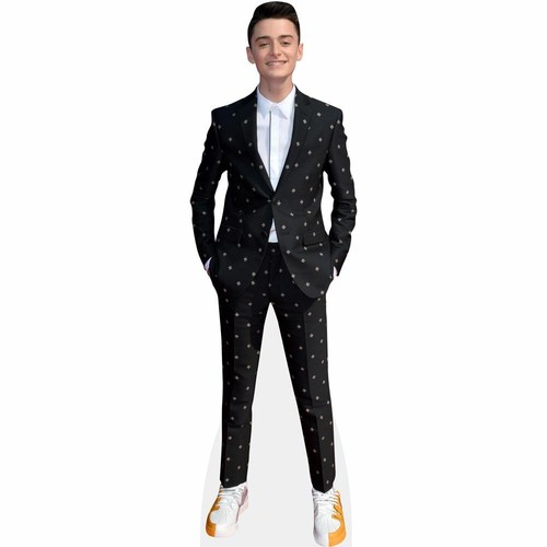 Noah schnapp - noah,