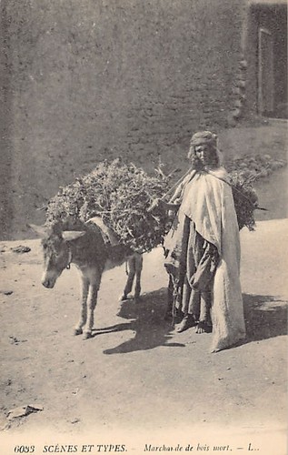 Algérie marchande de bois - marchande,