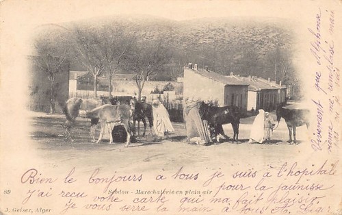 Algérie sebdou - -,