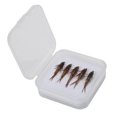 5 pièces leurres nymphe de