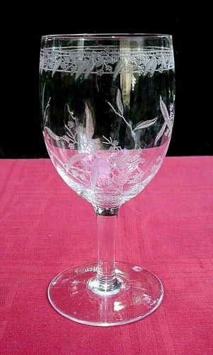 Baccarat mimosa wine - mimosa, glass