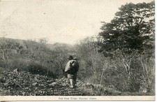 CPA /  POSTCARD / ASIE ASIA / JAPAN / JAPON / FUJI FROM UBAGO HAKONE JAPAN