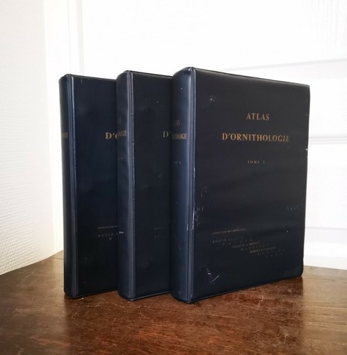Atlas ornithologie études - atlas, d'ornithologie