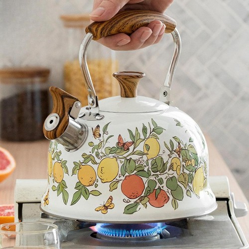 Bouilloire sifflante acier - bouilloire,