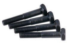 Plaque de frein à vis RB One