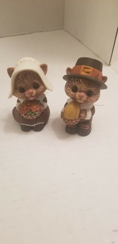 Pilgrim squirrels cat - or, salt