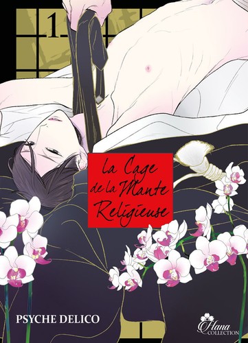 Cage mante religieuse - de, la