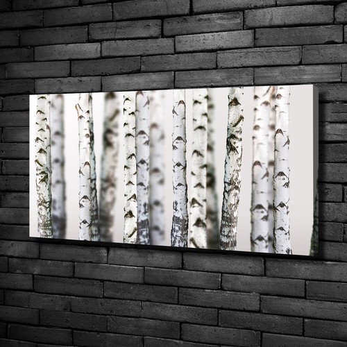 Tulup tableaux sur - toile, image