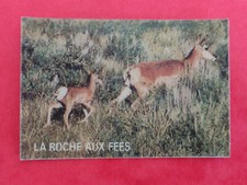 Casimir : Image visiomatic " Les animaux sauvages " - La Roche aux fées 1976