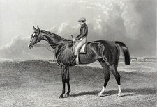 EQUITATION: JOKEY ANGLAIS