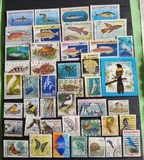 42 poissons et oiseaux grand format lot 20 09 19