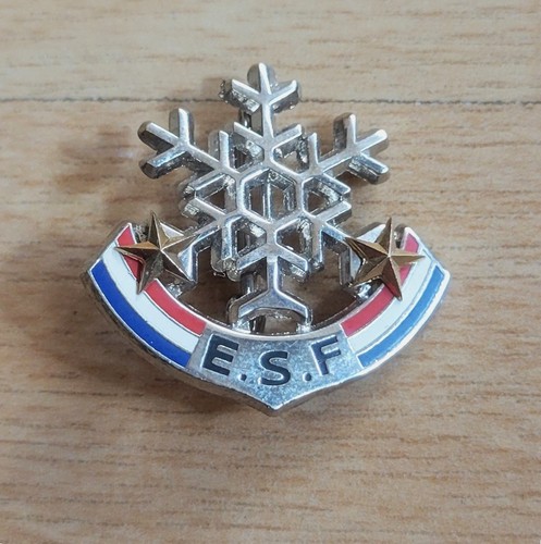 Insigne ecole du - du, ski