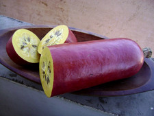 4 graines de CALEBASSE ZOMBI