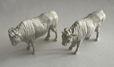 VTG Lot 2 Mini White Charolais