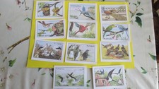 Les oiseaux lot 11  images écolier  éditions éducatives série A (6,5cm/9,5 cm)