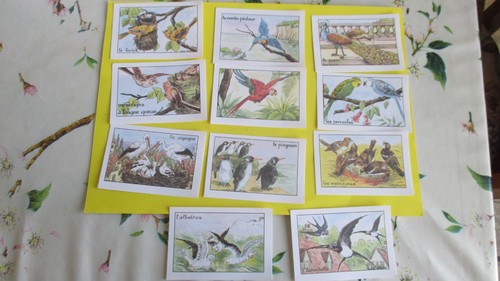 Les oiseaux lot images - lot,