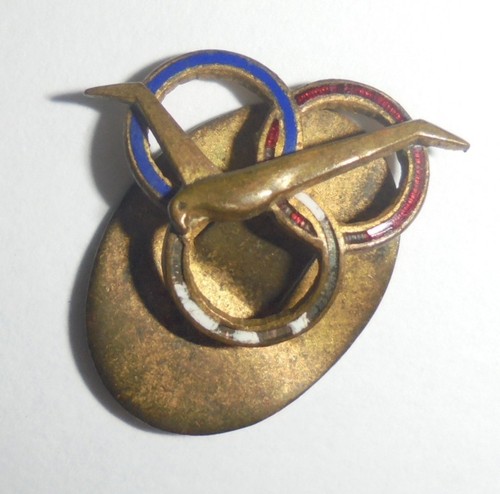 Vintage insigne broche - vintage,