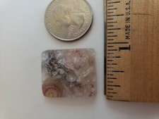 Birds Eye Jasper Focal