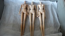 FASHION ROYALTY 3 BODY