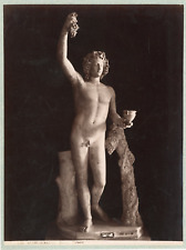 G. Sommer. Museo di Napoli