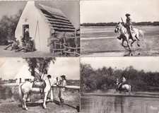 Lot de 4 cartes postales