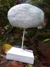 SCULPTURE PIERRE ARTIFICIELLE AVEC GRAVURE DE POISSON - ENV. 34 CM / + 1,4 KG