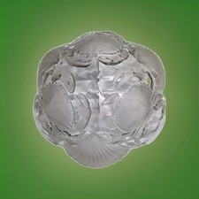 Coupe à décor de coquilles