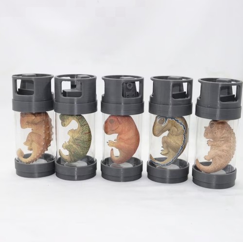 Bocaux dinosaures en - bocaux,