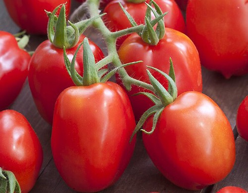Graines tomate roma - de,