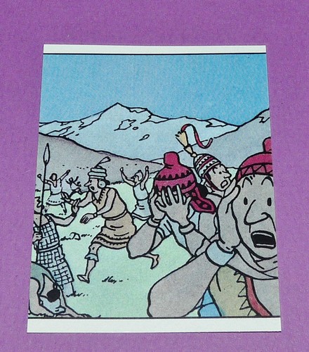 211 panini tintin herge - tintin,