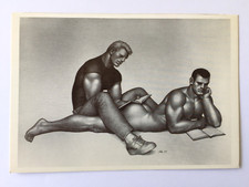 Carte Postale   TOM OF FINLAND   Gay  Sexy  Man  Homme  Male  Postcard  Nu  CP  