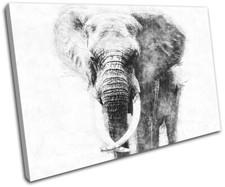 Sketch elephant Africa Mono