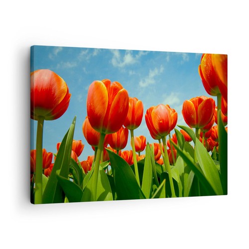 Impression sur toile 70x50cm - impression,