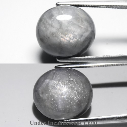 Cabochon ovale 67 ct - 17,67,