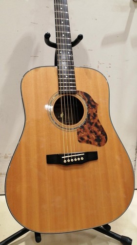 Guitare acoustique morris - guitare,