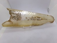 Grande Gypse de fer de lance - minéraux