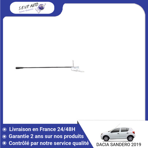 Brin antenne dacia - 🇫🇷,