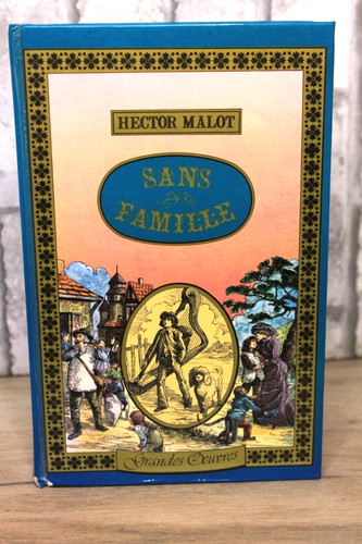 Livre sans famille hector - livre,