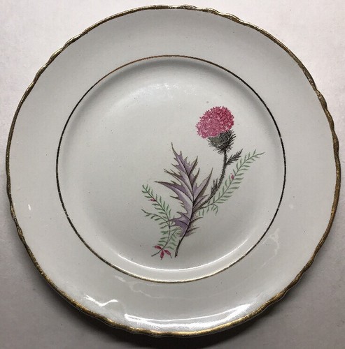 Lot1 petites assiettes - 6,