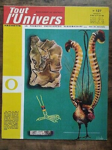 Tout univers nº - l'univers, 25