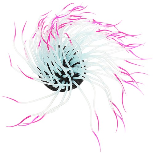 Décoration aquarium - décoration, d'aquarium