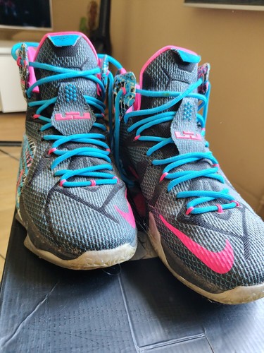 Nike lebron xii - lebron,