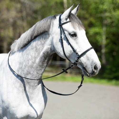 Equitation bridon filet sans - bridon,