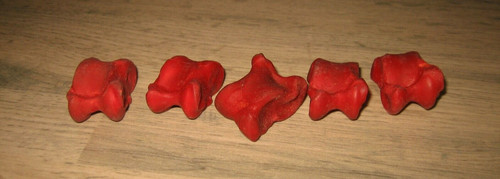 Ancien jeu osselets os - ancien, en