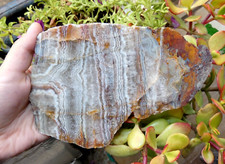 Rare Tranche Agate Montredon Labessonnié Tarn 18x13cm Minéraux collection pierre