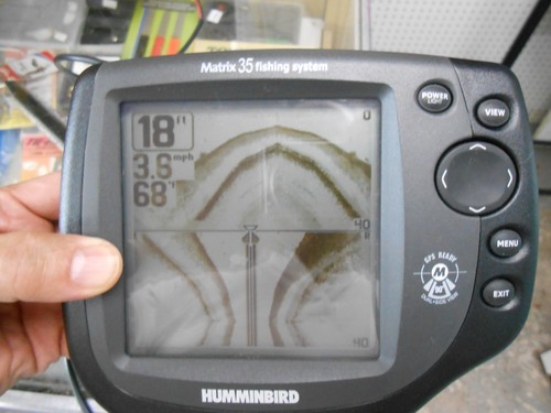 Hummingbird matrix fishing - hummingbird,