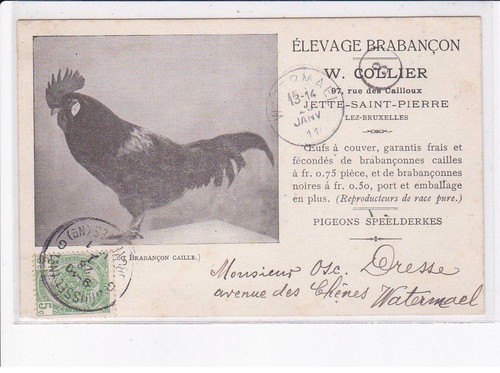 BELGIQUE