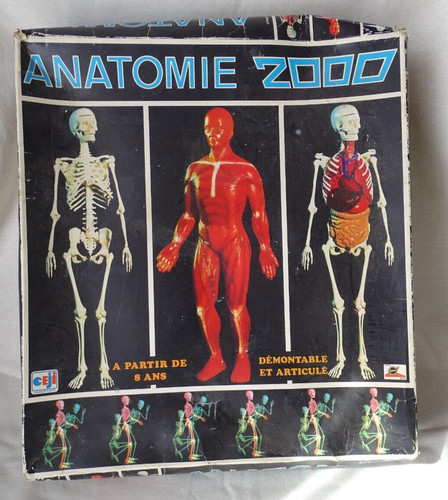 Anatomie 2000 coffret corps - anatomie,