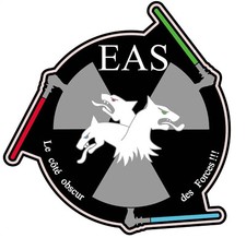 patch EAS phosphorescent représentant les trois coueurs des EAS